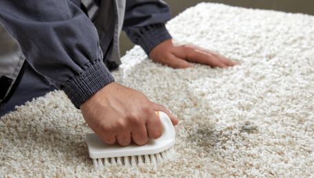 Professional Rug Cleaning Endeavour Hills